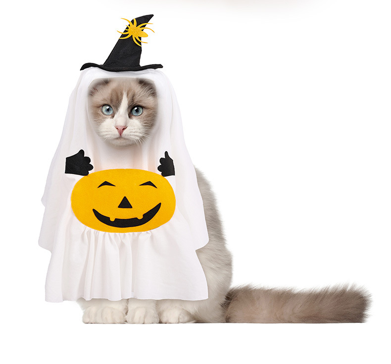 Halloween Ghost Pet Costume with Pumpkin Design and Mini Witch Hat